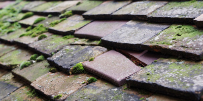 Stowey roof repair costs